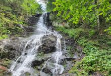 Cascada Urlătoarea Lupiilor景点图片