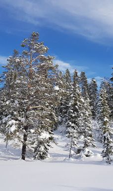 Gravset resorts-海姆瑟达尔