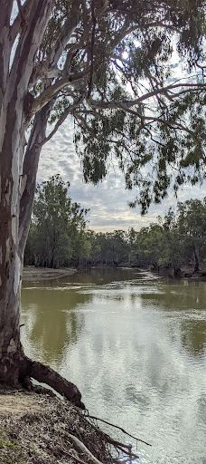 Murrumbidgee Junction Reserve-巴尔兰纳德