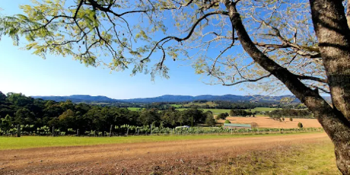 Villa d'Esta Vineyard