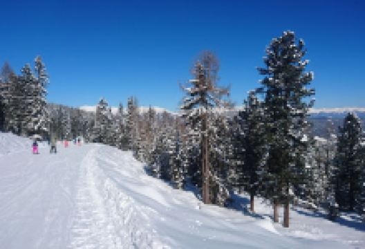 Kraischberg景点图片