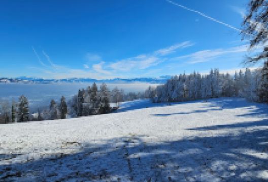 Pfannenstiel Tower景点图片