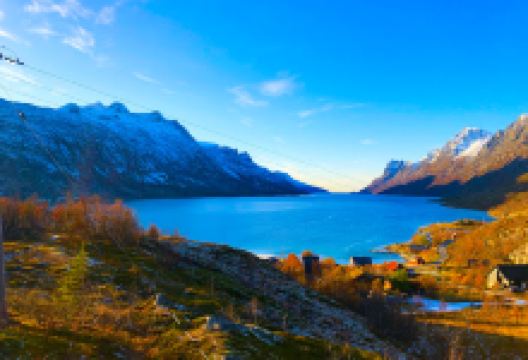 Blåmann Betongpark Skatepark景点图片