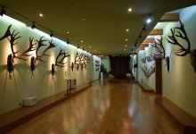"Posada" Hunting Museum景点图片