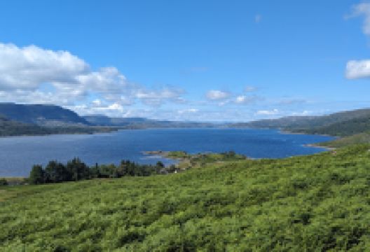 Field of Springs Viewpoint景点图片