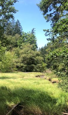 Witty's Lagoon Regional Park-首府地区