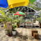 The Shire Terrace Bistro