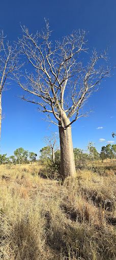 Bandilngan (Windjana Gorge) National Park-King Leopold Ranges