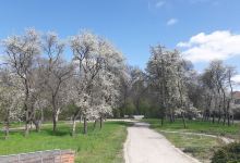 Stadtpark Garbsen景点图片