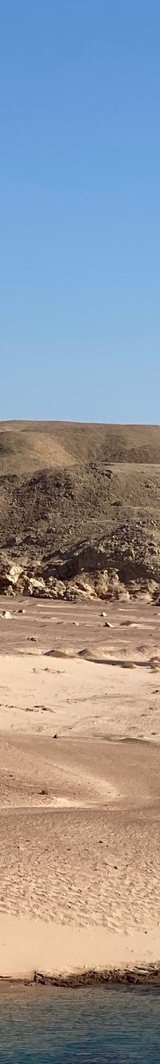 穆罕默德国家公园-Qesm Sharm Ash Sheikh