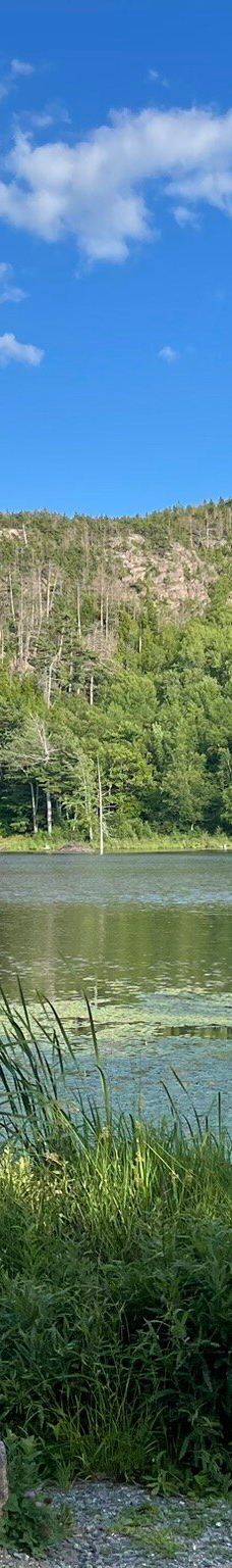 阿科底亚国家公园-沙山