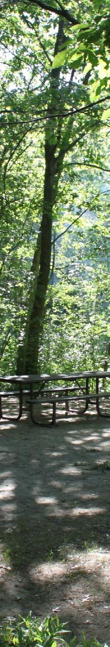 Pinery Provincial Park-大本德