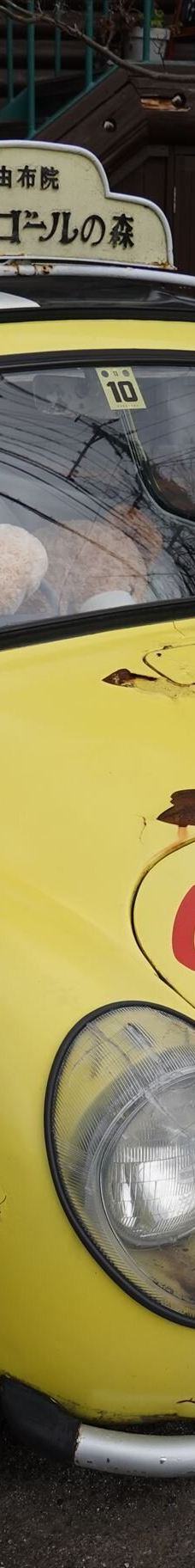 汤之坪街道-由布市