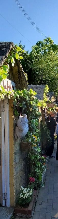 汤之坪街道-由布市