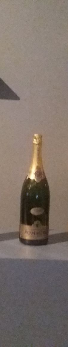 Parc de Champagne-兰斯