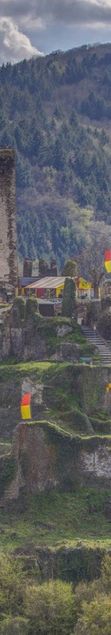 Metternich Castle-拜尔施泰因