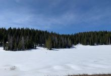 Routt National Forest景点图片