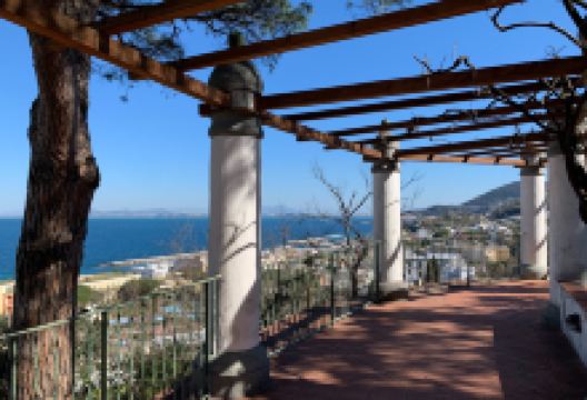 Museo Archeologico di Pithecusae景点图片