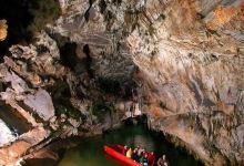 Penn's Cave and Wildlife Park景点图片