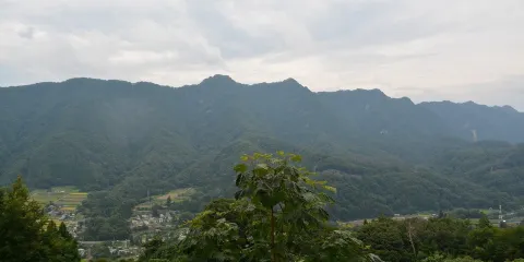 Ikusaka Takatsuya Forest Park