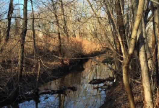 Teaneck Creek Conservancy景点图片