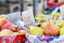 Paradis des Fruits Dunham景点图片
