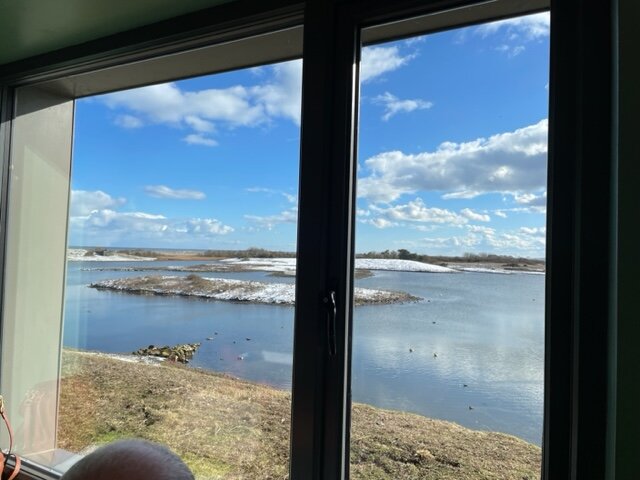 Hauxley Wildlife Discovery Centre