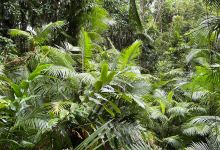 Marrdja Botanical Walk景点图片