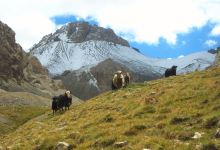 Chatyr-Kul Lake景点图片