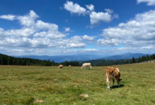 Weinebene景点图片