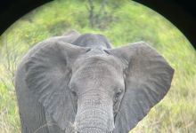 Inno Africa safaris景点图片