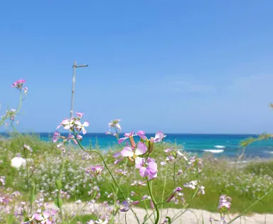 海風之里 藍海沙灘