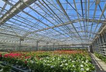 Les Jardins du Pflixbourg购物图片