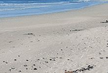 Golden Mile景点图片