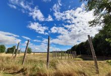 Maelmin Henge and Trail景点图片