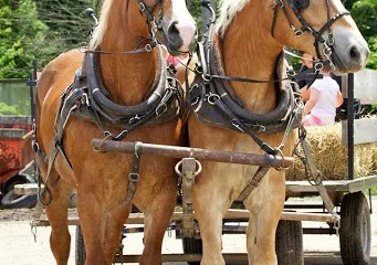 Warner's Ranch and Pumpkin Farms