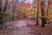 Gilman-Waite Field景点图片