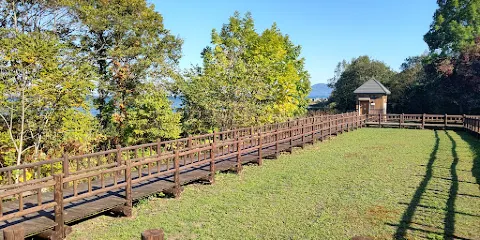 サロマ湖芭露の水芭蕉羣生地