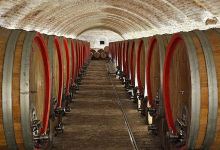 Vinski podrum Vina Belje景点图片