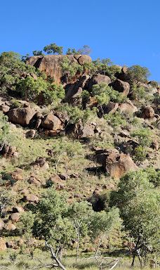 Violet Valley Campground-奥德里弗