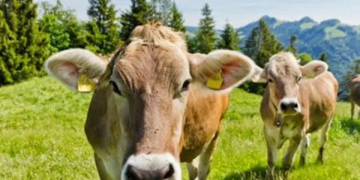 Agricultural History Project Center & Museum