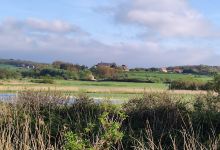 Ruisseau des Anguilles景点图片