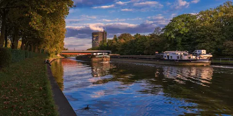 Slinky Springs to Fame