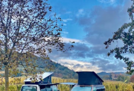 Meyer Patrick景点图片