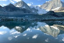 Wildwald景点图片