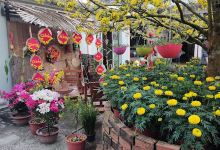 VƯờN TRÁI CÂY CHÚ BA LE景点图片