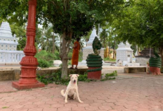 Wat Nora景点图片