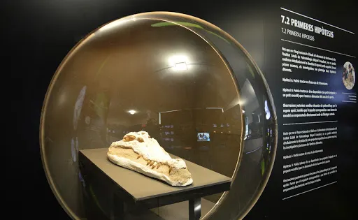Dinosfera