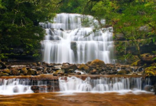 Liffey Falls Camping景点图片