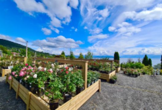 Haukebø Blomster og Hagesenter购物图片